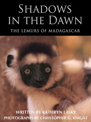 cover image of Shadows in the Dawn